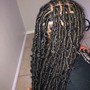 Starter locs