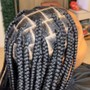 Small Box Braids