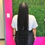 Spring Twists