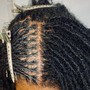 Loc Starter (Small)