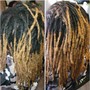 Wisdom Locs