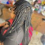 Box Braids front touch up