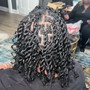 Root Touch Up