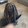 Starter Locs