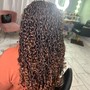 Extended 2 strand twist (with hair )