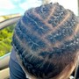 Comb Coils/ Starter Locs