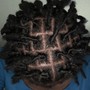 Loc Retwist w/Aloe Massage