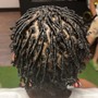 Extended locs: passion twist mid back-lower back  $210