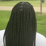 Two Strand Twist