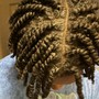 Two Strand Twist