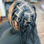 Plaits/ Box Braids (full head)