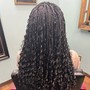 Luxurious Shampoo, and go with 4 straight back braids