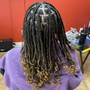 Knotless Braids medium mid back