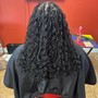 Natural hair braids (plates no hair added)