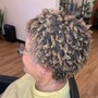 Root Touch Up