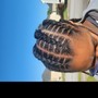 Cornrows