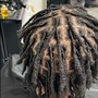 Root Touch Up