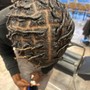 Comb Twist/ Starter Locs