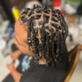 Comb Twist (starter locs