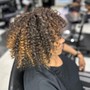 Root Touch Up