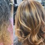 Color Root Touch-Up