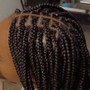 Individual Braids