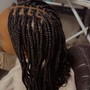 Natural Twists