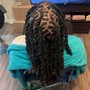 Starter Locs (Shoulder Length)