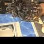 Natural Twists