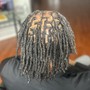 Loc Maintenance Fade