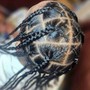 Braids (Plaits, Freestyle, Cornrows Two-Strand Twist.)