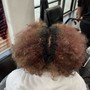 Root Touch Up