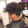 Root Touch Up