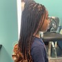 Havana Twists