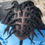 Two strand starter locs