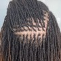 Starter comb twist Dreadlocks