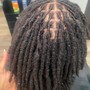 Adult Retwist