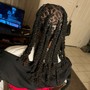 Starter locs