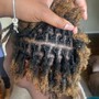 Comb Twist