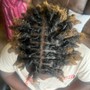 Comb Twist