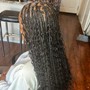 Waist Length Ext. Braids