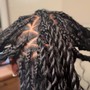 2 Strand Twist (no hair)