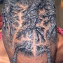 Tree Braids