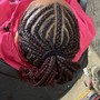 Braided up ponytail