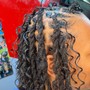 Loc Retwist (Full head: 131+ locs)