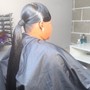 Sleek ponytail