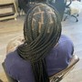 Root Touch Up