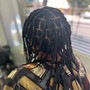 Two Strand Twist