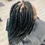 Medium Box Braids