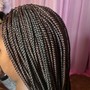 Goddess Braids